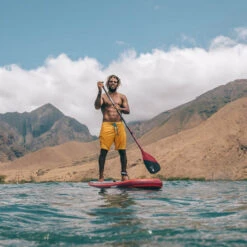 PAGAIE FANATIC CARBON 80 VARIO -Paddle Wave Soldes pagaie fanatic carbon 80 vario 2